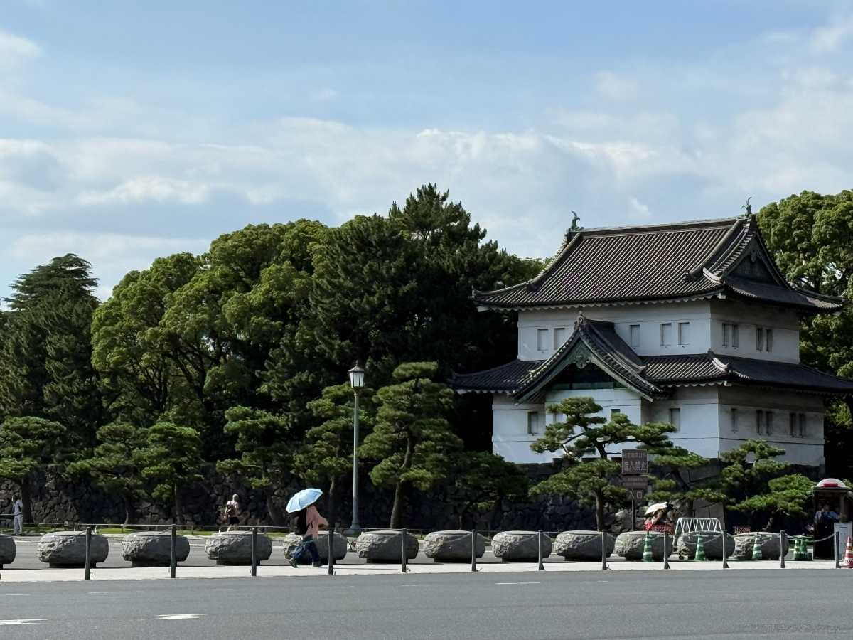 皇居外苑・二重橋周辺の景色