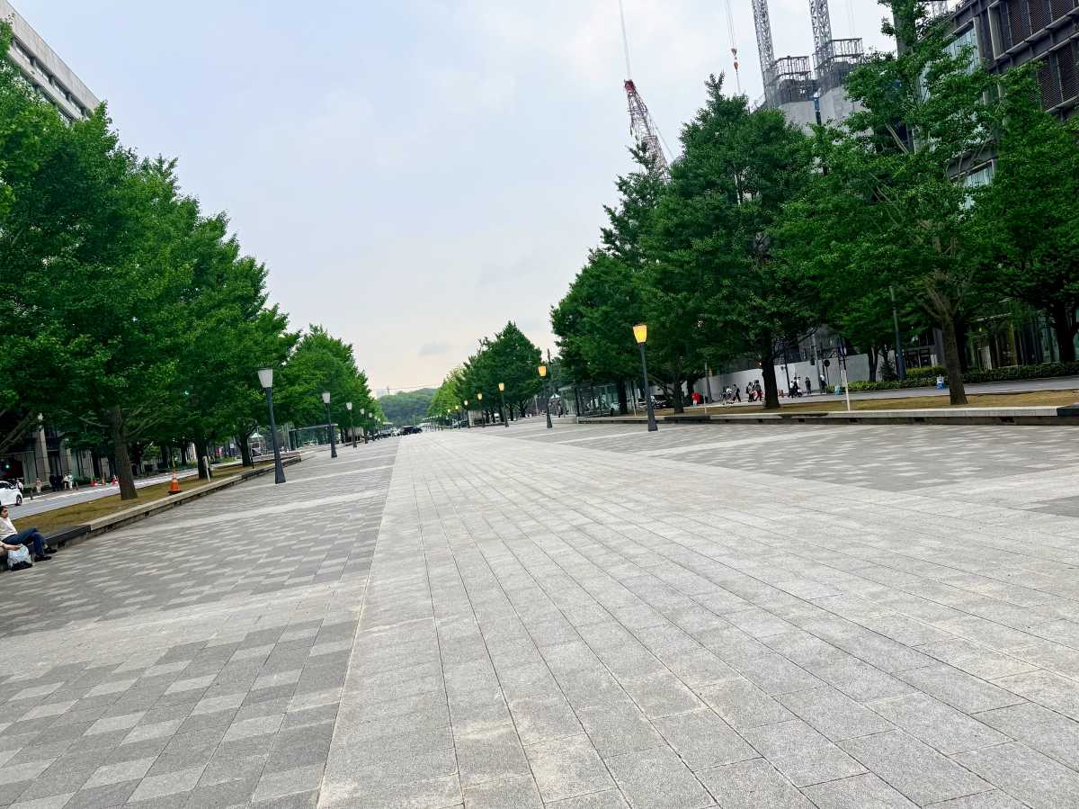 行幸通りのイチョウ並木と東京駅丸の内駅舎